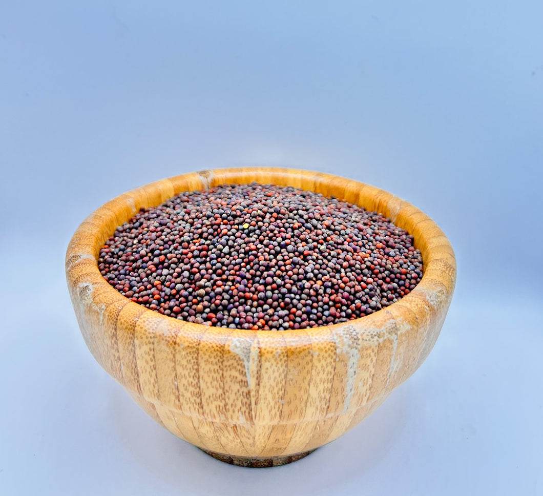 Broccoli Seeds, Organic for Sprouting