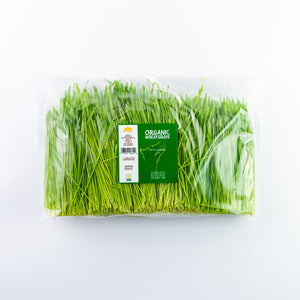 Organic Wheatgrass