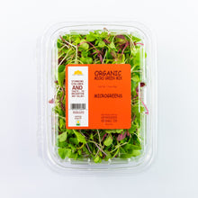 Microgreen colorful Mix