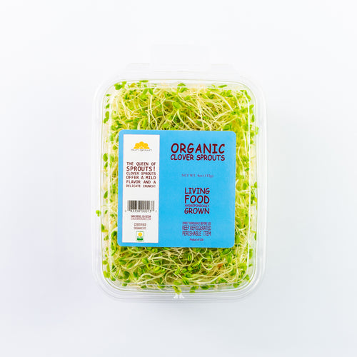 Clover Sprouts