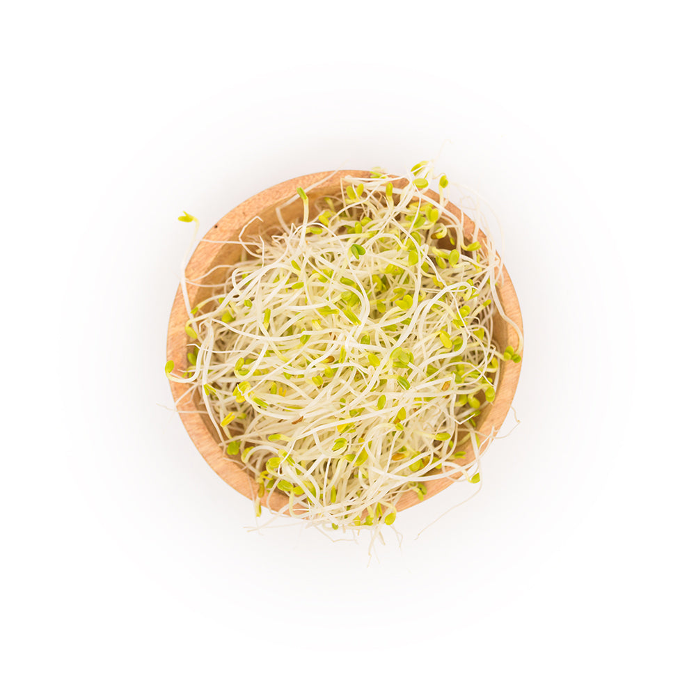 Organic Clover Sprouts | Fresh Water-Grown | CCOF Certified | Sun Grown