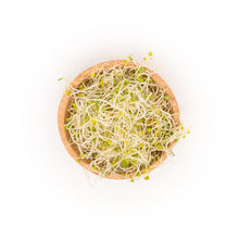 sprout salad in a wooden bowl