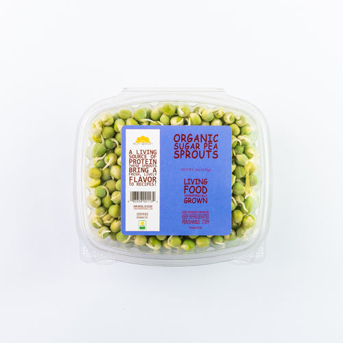 Sugar Pea Sprouts