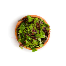 microgreens in a bowl