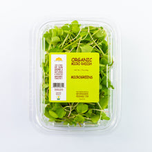 Microgreen Radish