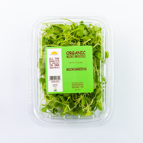 Microgreen Broccoli