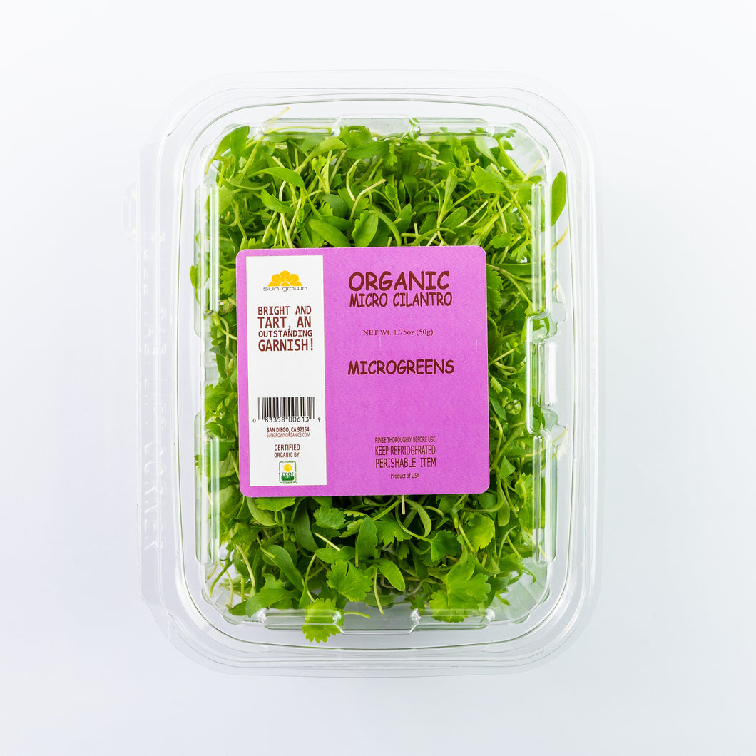 Microgreens Cilantro