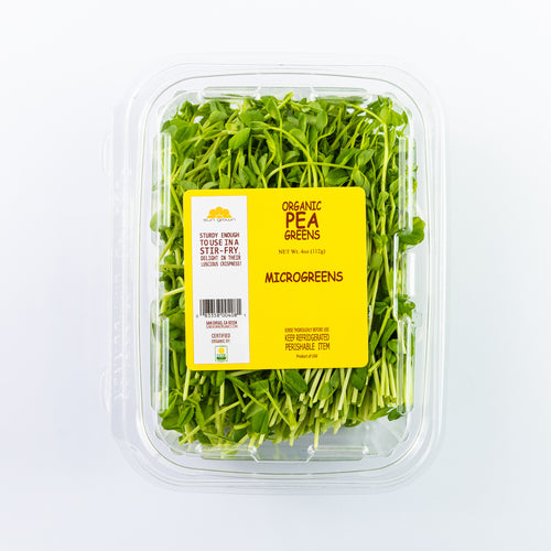 Microgreen Pea