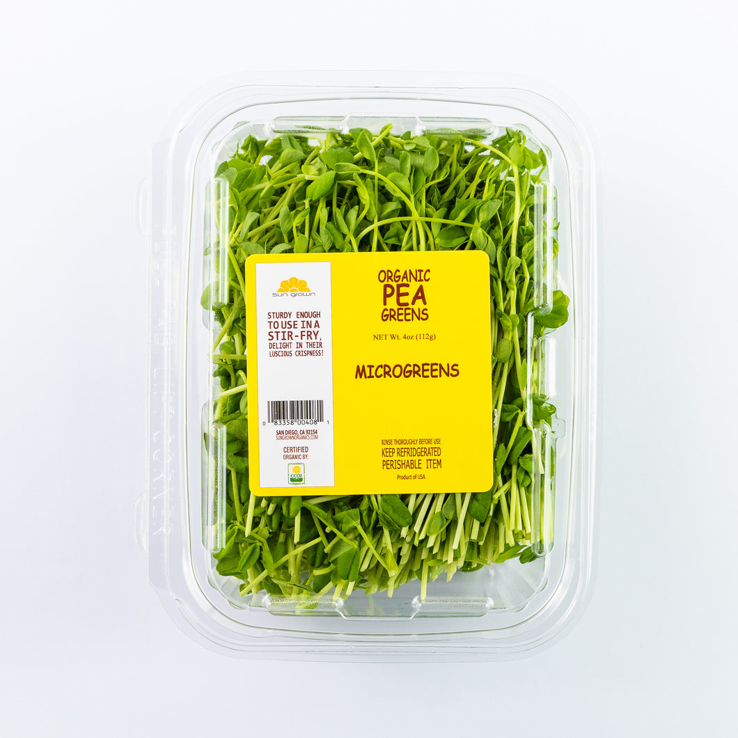 Microgreen Pea