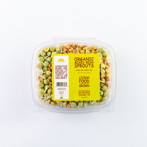 Mixed Bean Sprouts