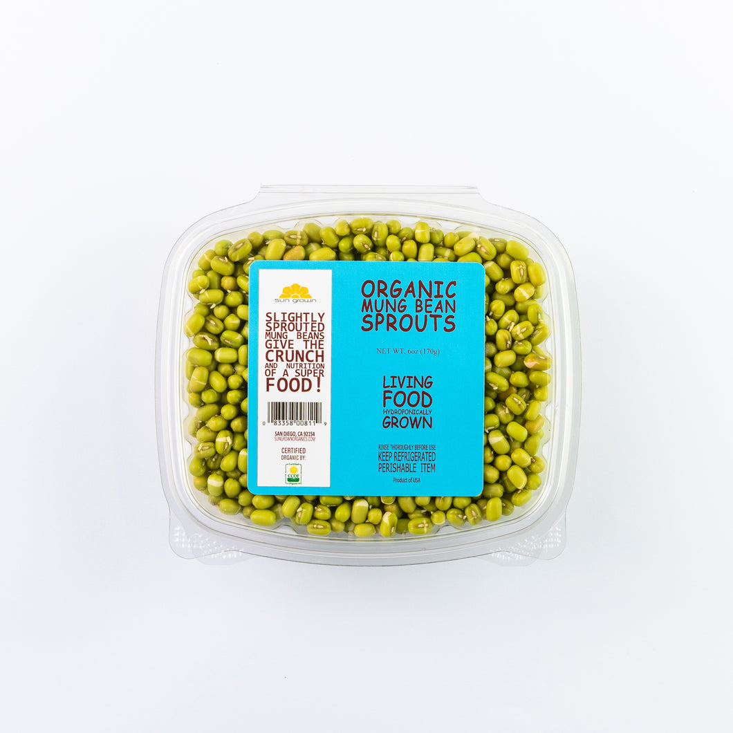 Organic Mung Bean Sprouts