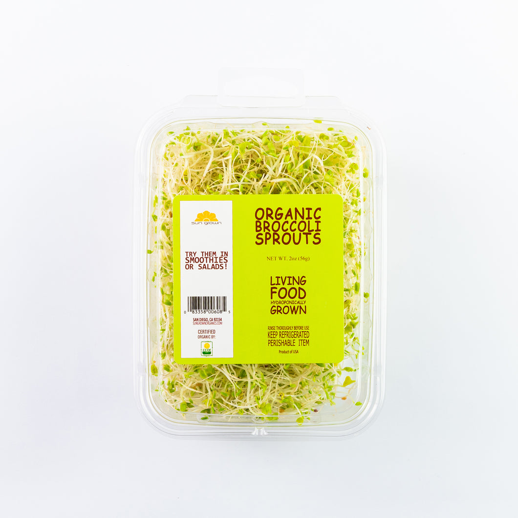 Broccoli Sprouts