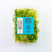 sprout salad in a clamshell on white back ground
