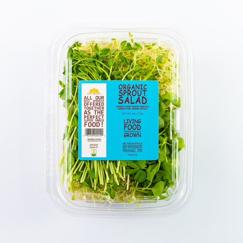 sprout salad in a clamshell on white back ground