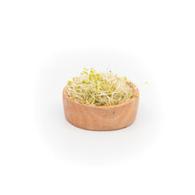 Load image into Gallery viewer, Broccoli Sprouts