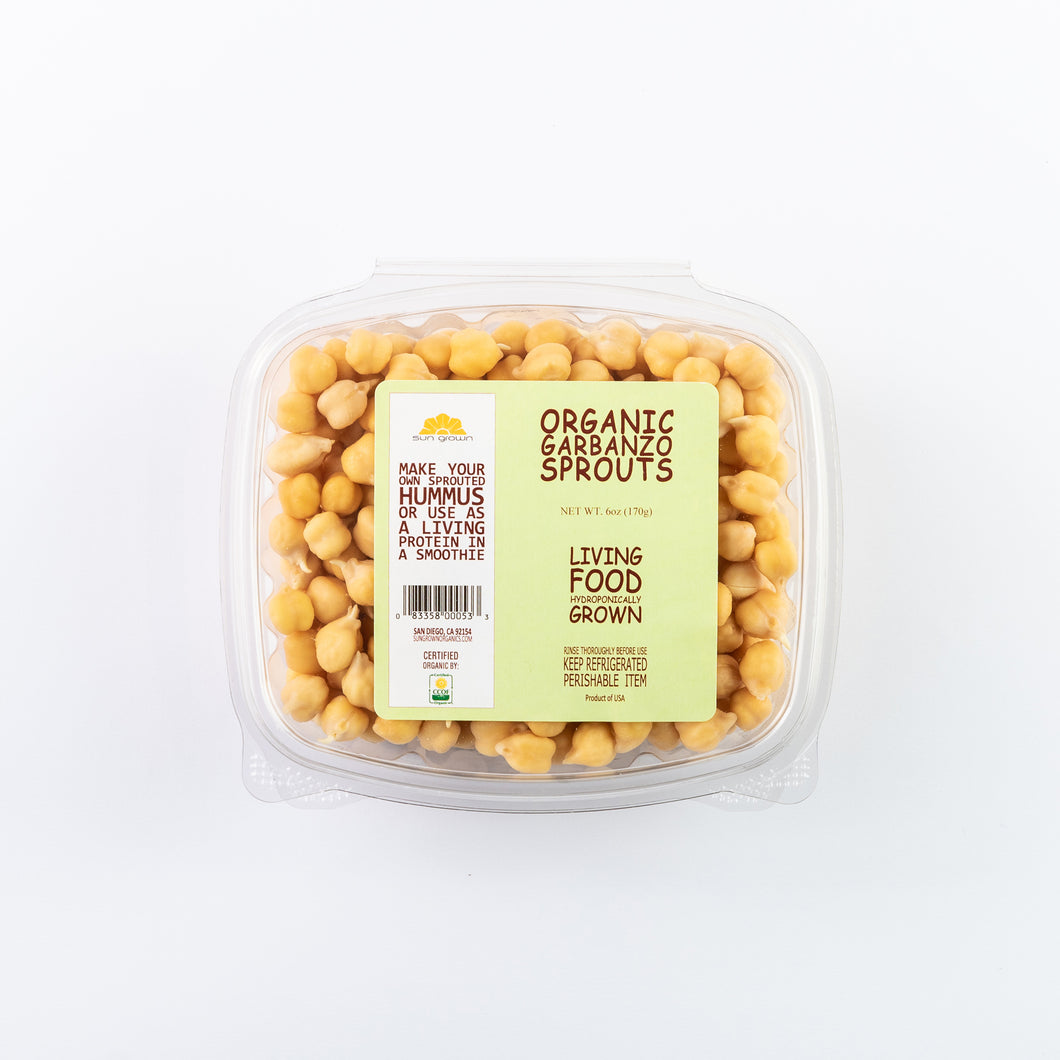 Garbanzo Sprouts