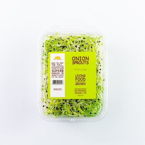 Onion Sprouts