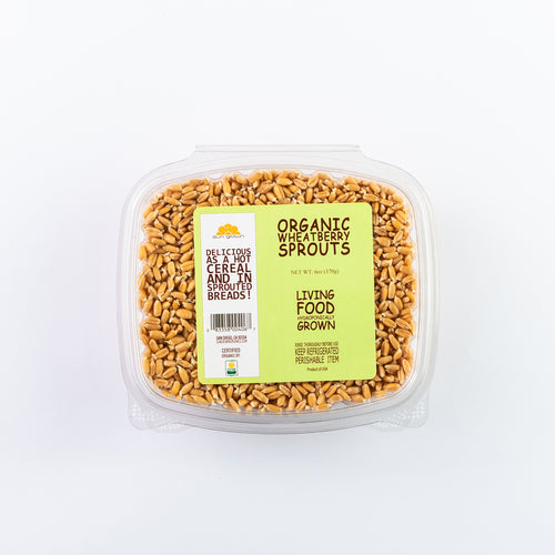 wheatberry sprouts