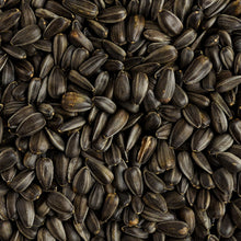 A close-up image of organic sunflower seeds showing the individual seeds and their pods.