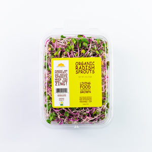 Radish Sprouts