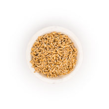 sprouted wheat